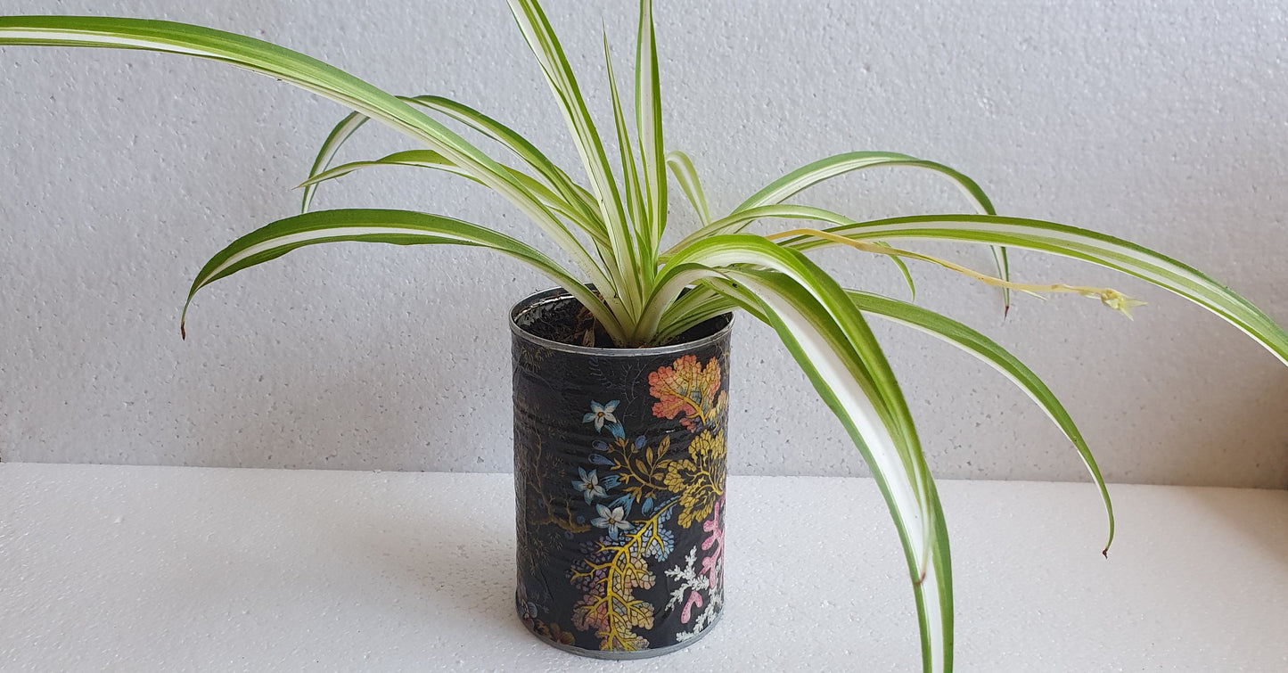 Upcycle Tin Can Desk Tidy Planter Blue Shells Pattern Decoupage Hand Decorated Home Decor Gift