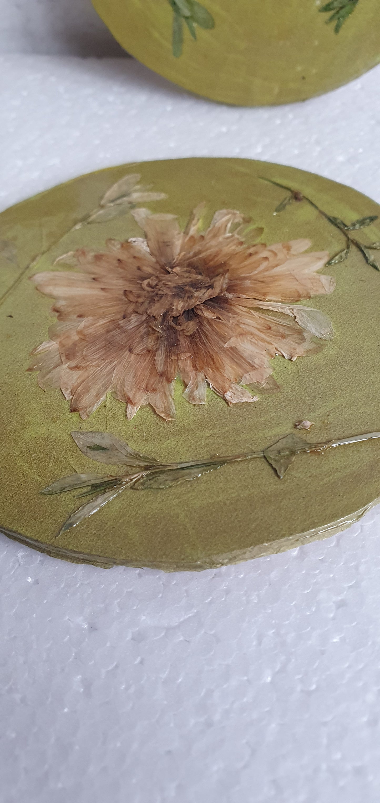 Gold Green Round Coasters Real Flowers Leaves Set Of Four Home Decor Gift